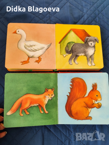 колекция от образователни книжки , снимка 15 - Детски книжки - 52580118
