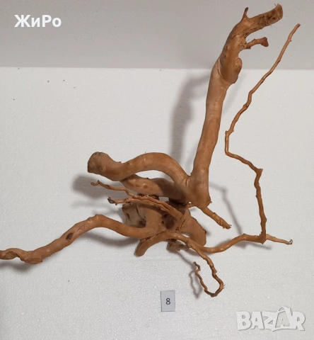 Корен от Азалия /декорация/ 8, снимка 2 - Други - 48577917