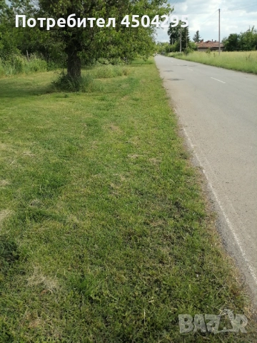 Продавам Дворно място в с Долно Церовене обл Монтана , снимка 6 - Къщи - 52482528