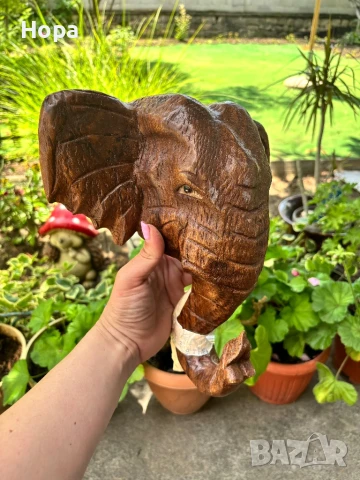 Слонска глава за стена от тиково дърво