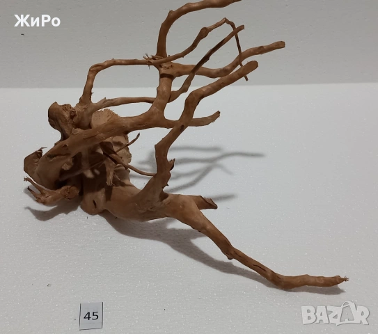 Корен от Азалия /декорация/ 45