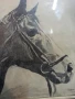 Рамкирана картина рисунка-глава на кон ,подписана, снимка 4