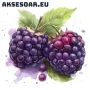 Висококачествени нови семена от хранителна Къпина без бодли Rubus rusticanus 50+ семена антиоксидант, снимка 11