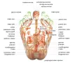 Nuga best nm55/ Нуга бест nm 55/ , снимка 3