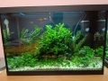 Напълно оборудван и работещ аквариум , снимка 15