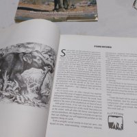 Книга за животинския свят в Африка и Азия , снимка 8 - Специализирана литература - 45325228
