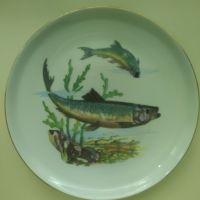 Порцеланови чинии с рисунки на различни риби , снимка 6 - Въдици - 45356450