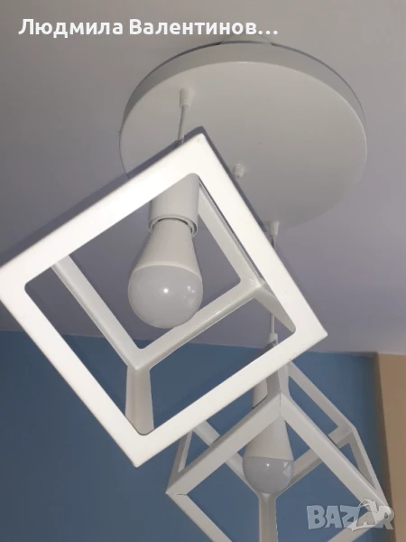 Полилей бял  Lorinda, снимка 1
