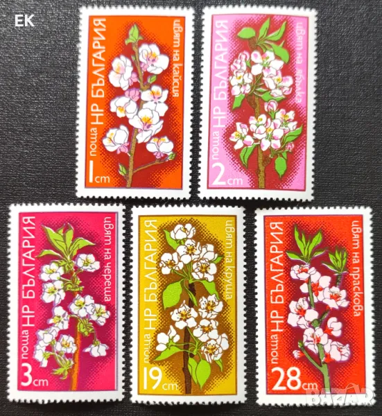 България, 1975 г. - пълна серия чисти марки, флора, 5*5, снимка 1