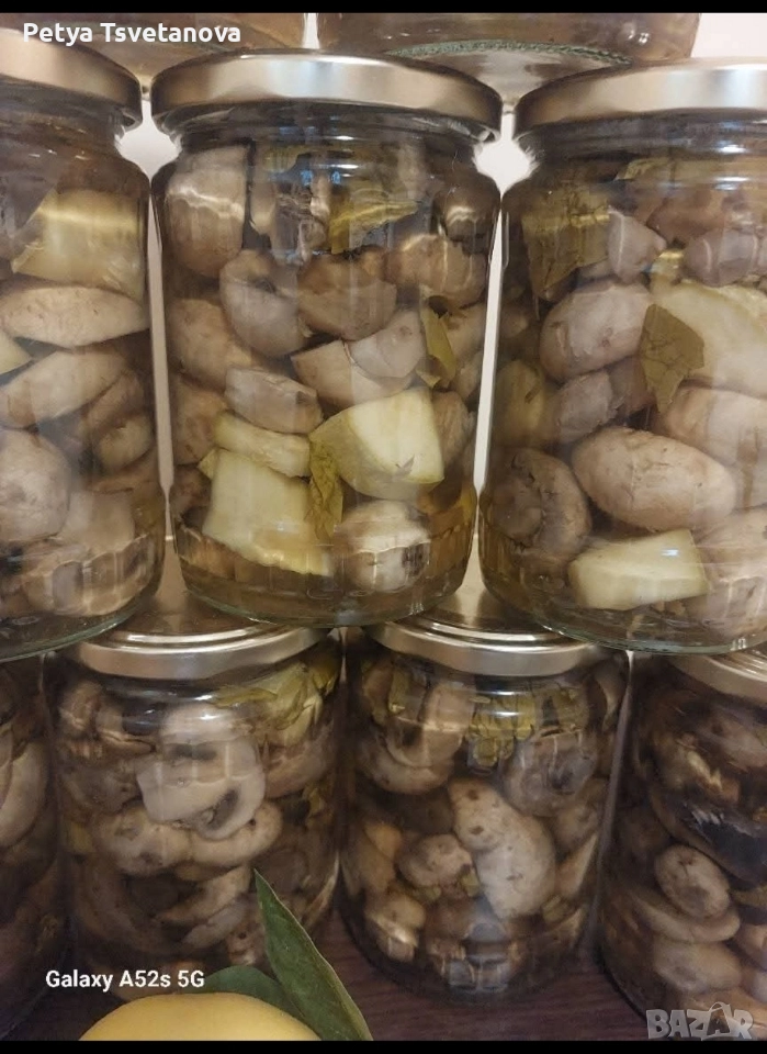 Маринована гъба печурка с тиквички, чиста и бланширана, снимка 1