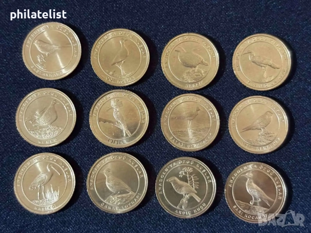 Турция 2021 – Комплектен сет от 12 монети по 1 куруш - Фауна , птици, снимка 2 - Нумизматика и бонистика - 52003001