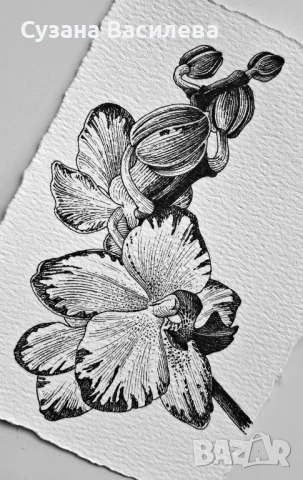 Нежни графични рисунки на цветя – ръчна изработка, снимка 2 - Картини - 53852610