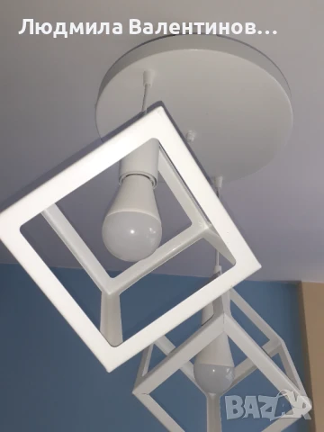 Полилей бял  Lorinda