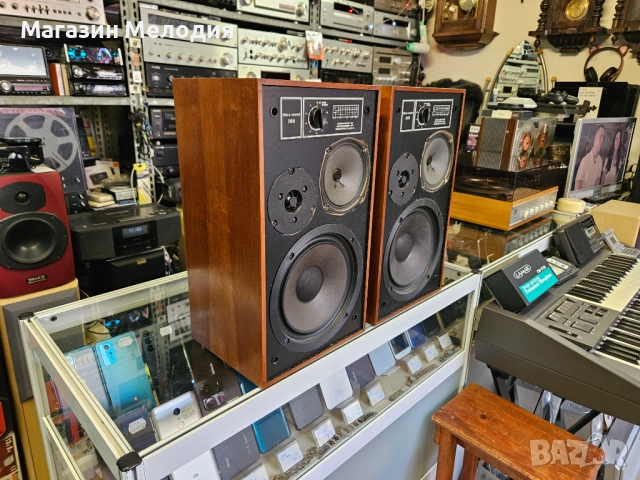 Тонколони Disco - sound 310 R В отлично техническо и визуално състояние., снимка 8 - Тонколони - 52720958