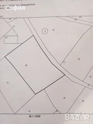 3/три декара Пчелински минерални бани 