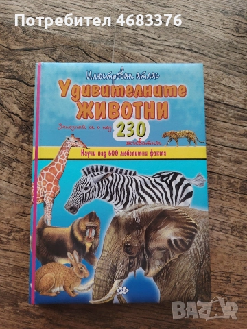 детска книга