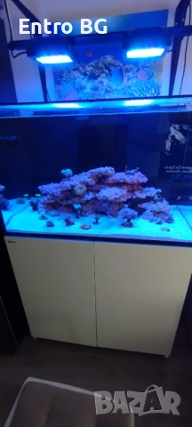 Морски аквариум red sea 300g2+, снимка 6 - Аквариуми - 53339771