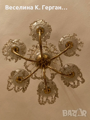 Полилей, снимка 5 - Полилеи - 53763617