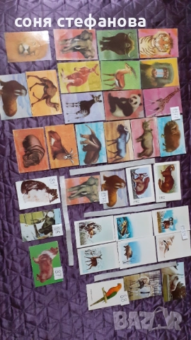 Календарчета от миналото , снимка 5 - Колекции - 52117331