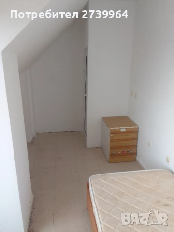 Стая под наем., снимка 4 - Стаи под наем - 52633982