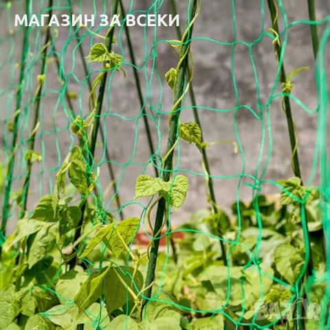 Мрежа за увивни растения и зеленчуци, снимка 3 - Огради и мрежи - 53826928