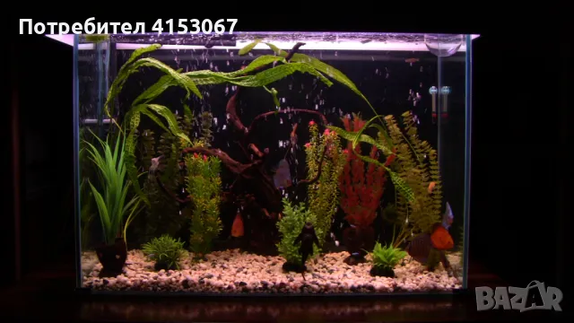 Аквариум с неръждаема конструкция, снимка 2 - Аквариуми - 49889838