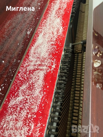 Пиано “Рига”, снимка 8 - Пиана - 53470546