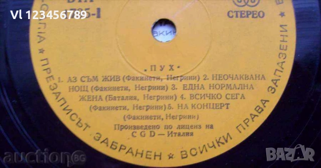 грамофонна плоча - Група Пух / Pooh - Viva - № 1795, снимка 3 - Грамофонни плочи - 53193094