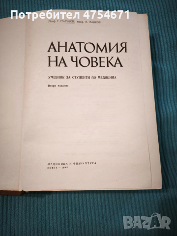 Анатомия на човека 