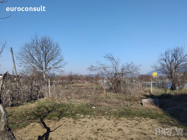 Парцел  гр.Севлиево, 3000 кв.м , снимка 2 - Парцели - 54238927