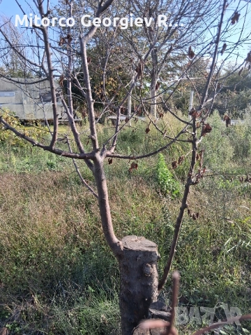 морски парцел с каравана, баня и тоалетна Καστρι Λουτρυ, Λαρισα , снимка 2 - Парцели - 52216315