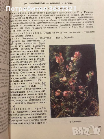 Енциклопедия "Природна аптека", снимка 2 - Енциклопедии, справочници - 47874059