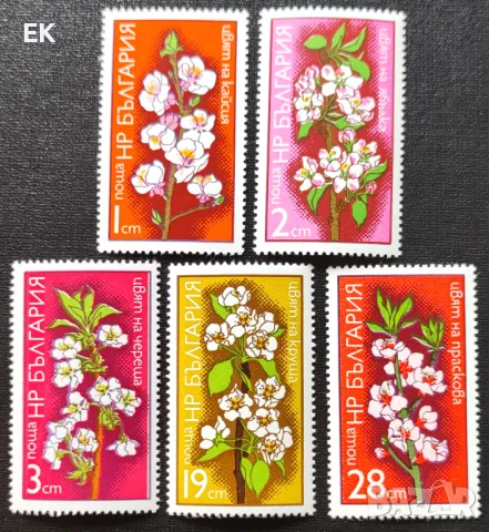 България, 1975 г. - пълна серия чисти марки, флора, 5*5, снимка 1 - Филателия - 47320779