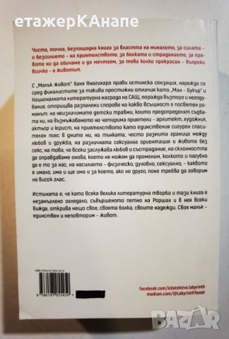 Малък живот  	Автор: Ханя Янагихара, снимка 2 - Художествена литература - 42559071