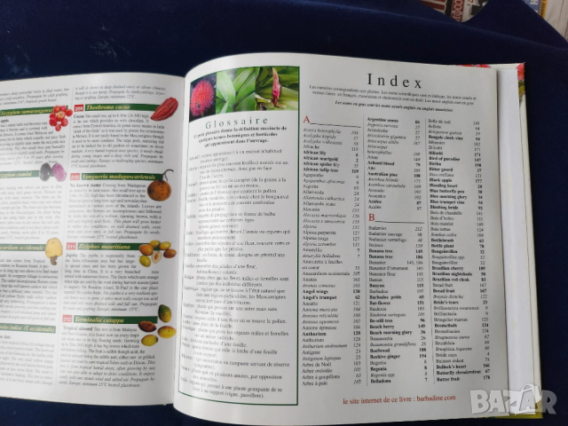 Тропически растения и плодове на островите Реюнион и Мавриций - на френски и англ., описани 212 вида, снимка 5 - Енциклопедии, справочници - 52576012