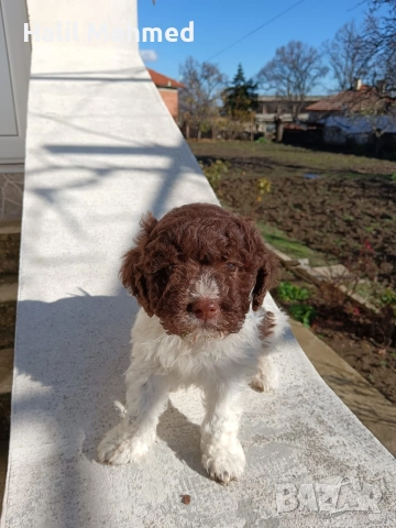 Лагото Романьоло, снимка 3 - Други - 52547291