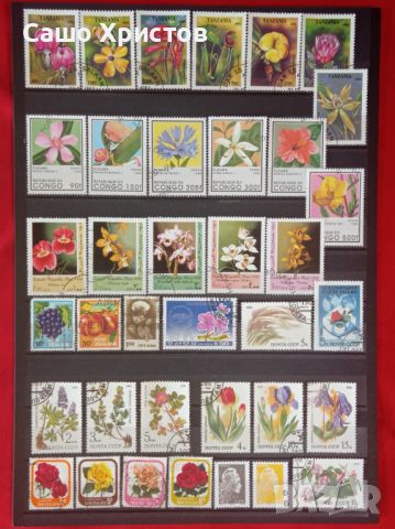 Пощенски марки тема ”Растения”., снимка 10 - Филателия - 45653043