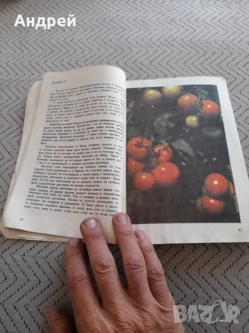 Книга Албум за растения и животни, снимка 3 - Специализирана литература - 53236498