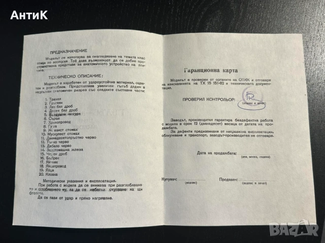 Соц Учебен Анатомичен Модел на Гълъб, снимка 12 - Антикварни и старинни предмети - 53667367