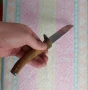 Кухненски нож с дръжка от еленски рог, дължина 27 см., снимка 2