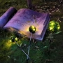 1233779 Соларна градинска лампа „Чемшир“ с 2 режима на работа: Постоянна светлина и премигващ ефект, снимка 2