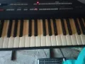 Korg PA800 256 , снимка 8