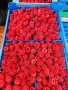 Расад ягоди и малини, снимка 6