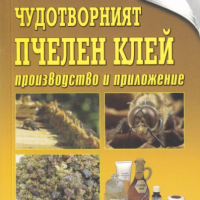 Чудотворният пчелен клей. Производство и приложение, снимка 1 - Специализирана литература - 44949723