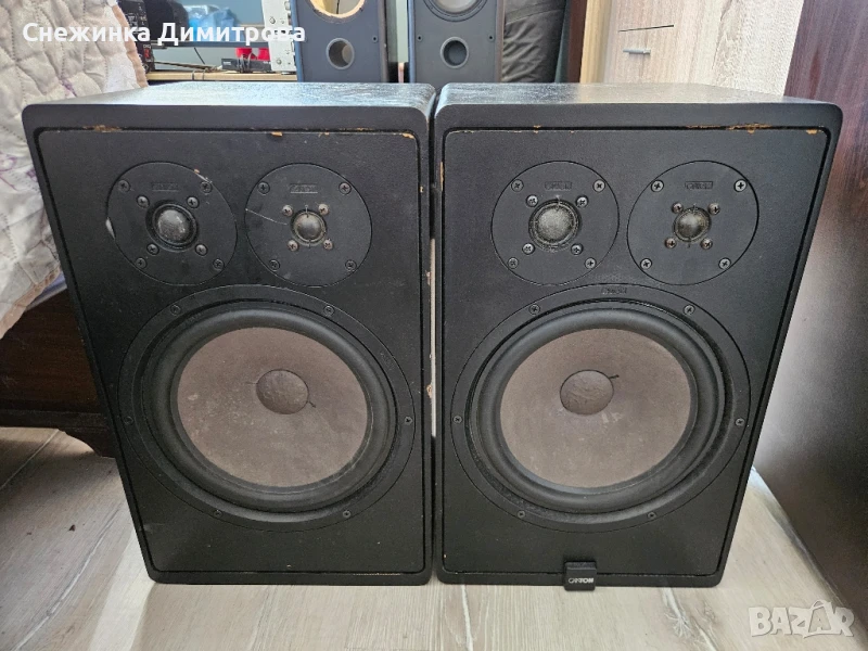 Тонколони Canton Quinto 530, снимка 1