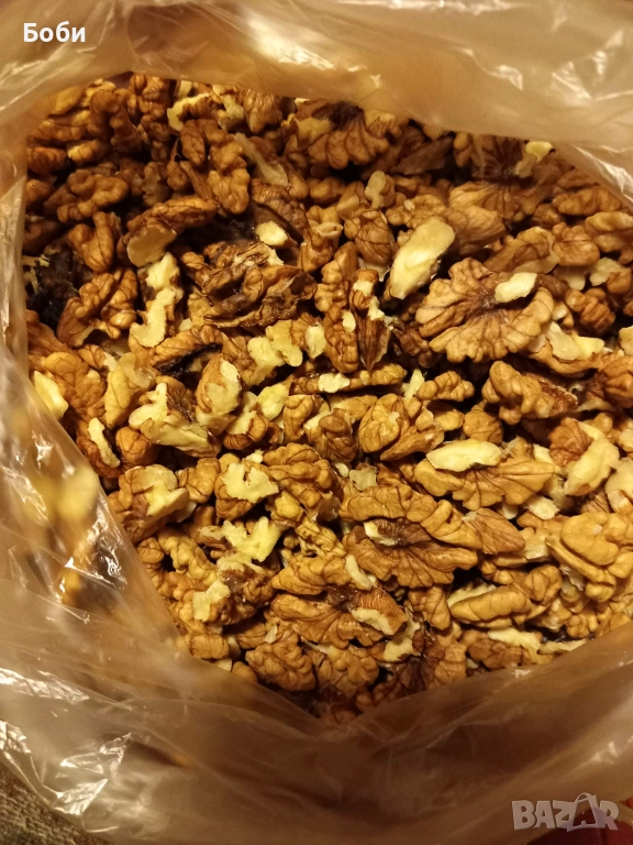 Орехови ядки -пресни, снимка 1