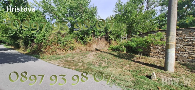 ПАРЦЕЛ УПИ В С.ЯЛОВО, снимка 4 - Парцели - 51780721