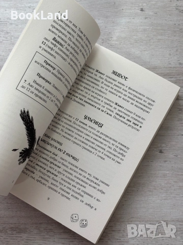 Тайната на алрисите| книга-игра, снимка 14 - Други - 54090899