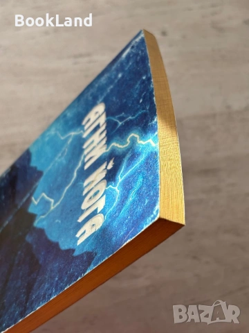 Агни йога – Йерархия , снимка 4 - Други - 53200041