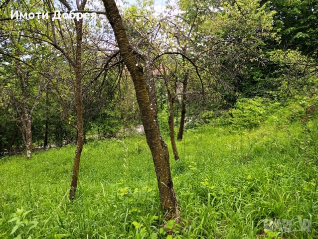 Имот в гр. Троян - спокоен квартал, снимка 3 - Парцели - 53681040